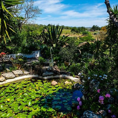 Casa Vale Del Rei Hotell Tavira Exteriör bild